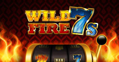 Robet 247 wild fire 7